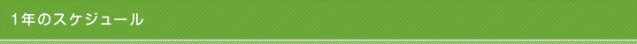 1年のスケジュール