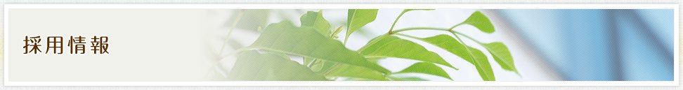 採用情報